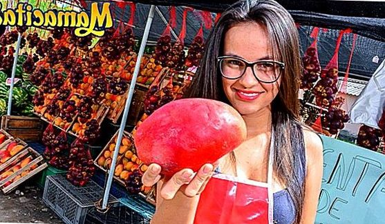 Латинки: Rocco Sex Analyst 3, порно видео